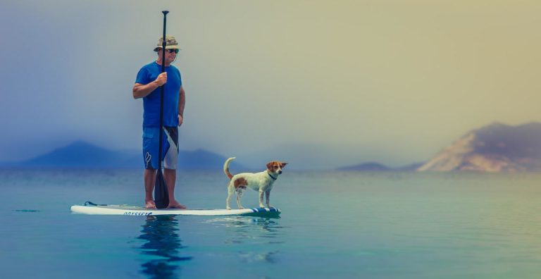 standup paddleboarding, man, dog-1838969.jpg